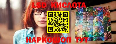 jwh Кингисепп