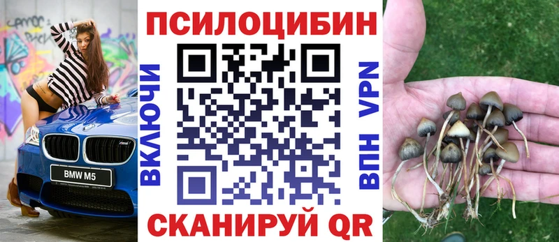 Псилоцибиновые грибы Magic Shrooms где можно купить Кыштым