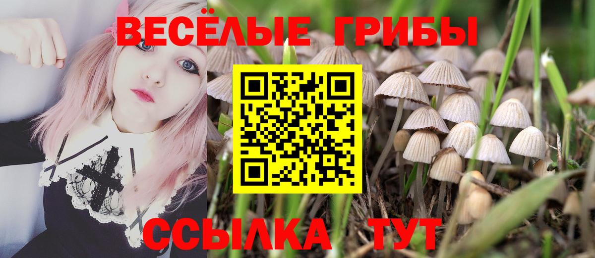 Кыштым  Псилоцибиновые грибы Cubensis  Вход с VPN 